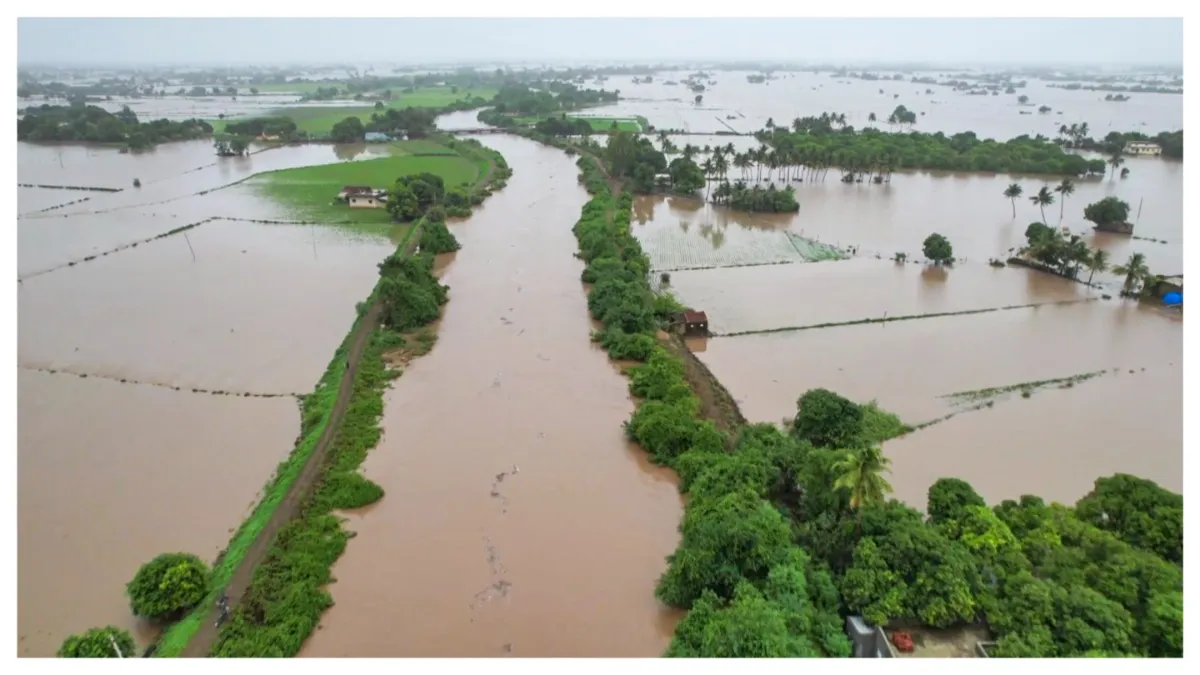 heavy rainfall in Gujarat 8 people died road services and railway services affected - India TV Hindi