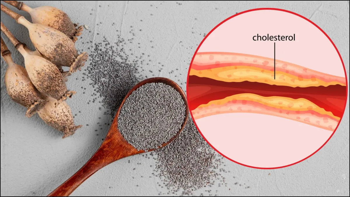 Chia Seed For Bad Cholesterol- India TV Hindi