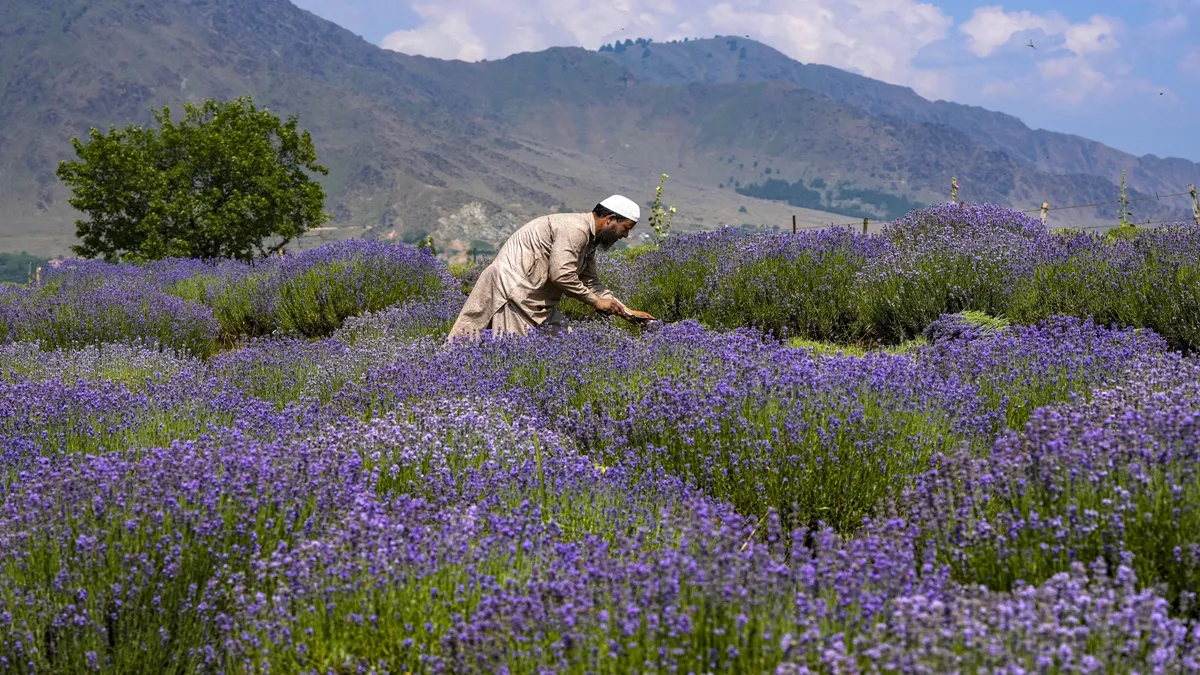 anantnag kashmir- India TV Hindi