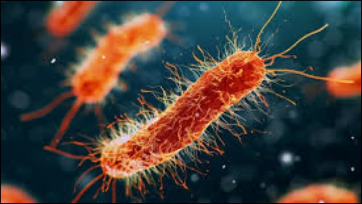 E-Coli Infection- India TV Hindi