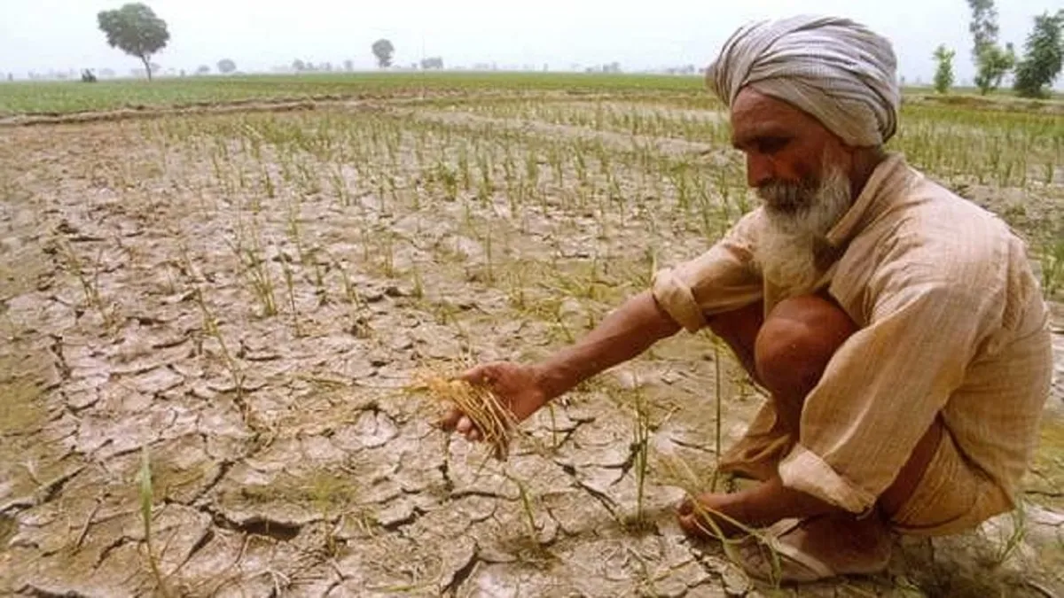 अगर किसी किसान के पास एक एकड़ से कम जमीन है, तो भी उसे 2,000 रुपये दिए जाएंगे।- India TV Paisa