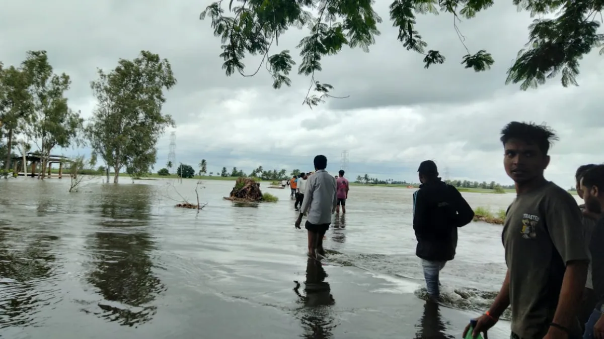 krishna River- India TV Hindi