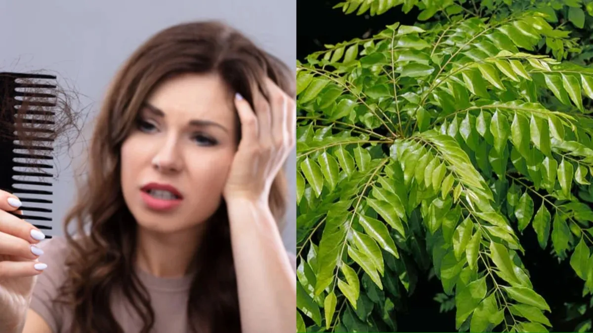 Curry Leaves For Hair Fall- India TV Hindi