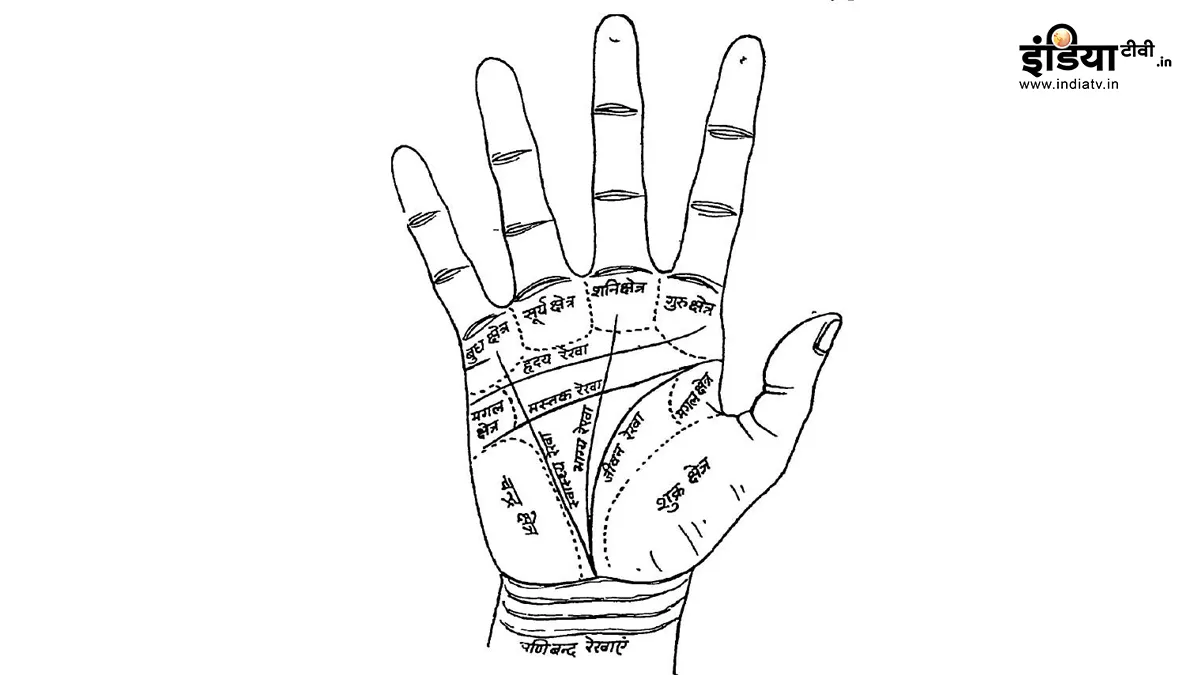 Palmistry - India TV Hindi