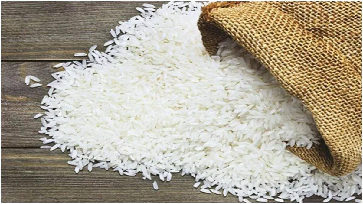 Non-Basmati Rice- India TV Paisa