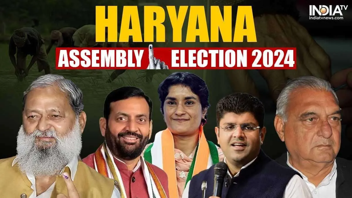 Haryana Assembly Elections 2024 key constituencies big contests candidates Bhupinder hooda nayab sin- India TV Hindi