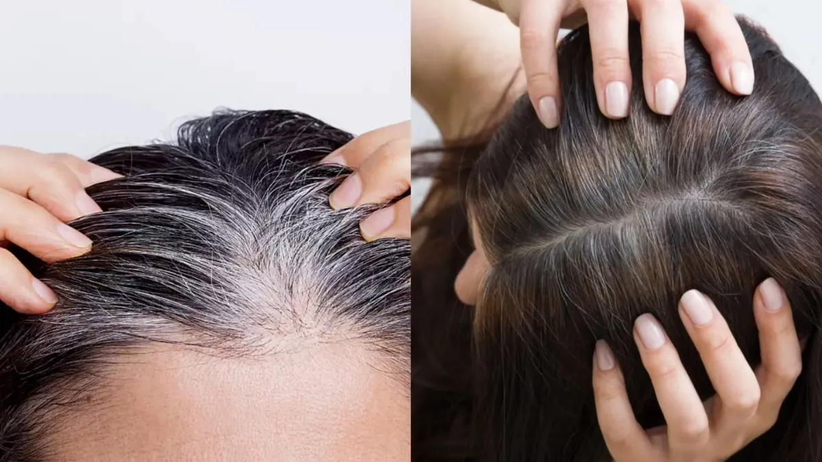 Benefits of henna and coffee for hair- India TV Hindi