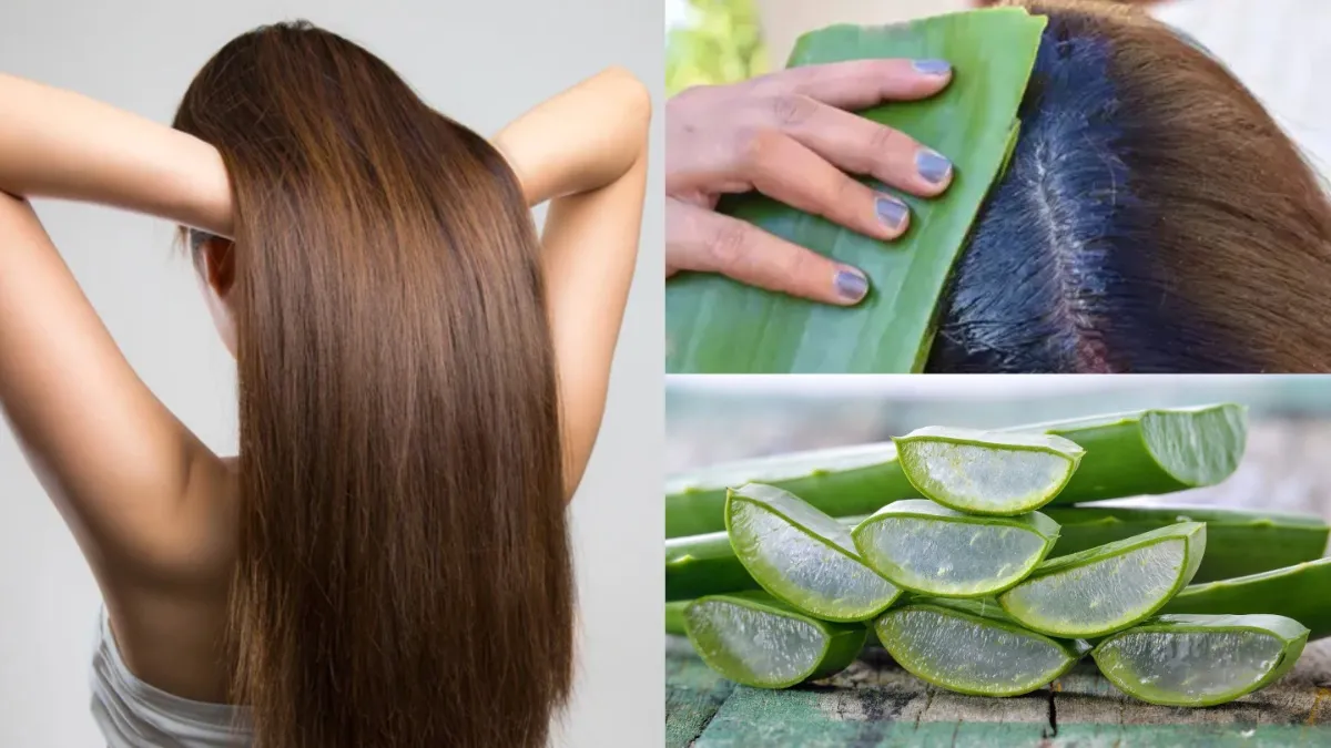 aloe vera for hair benefits- India TV Hindi