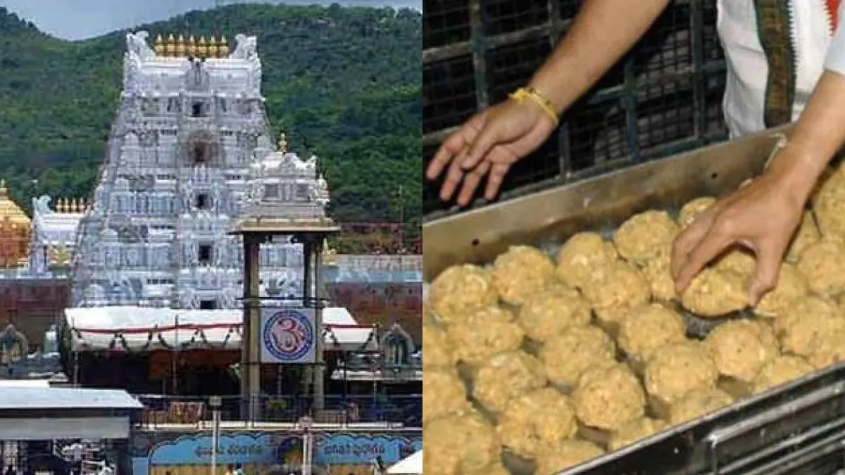 Tirupati laddu prasadam- India TV Hindi