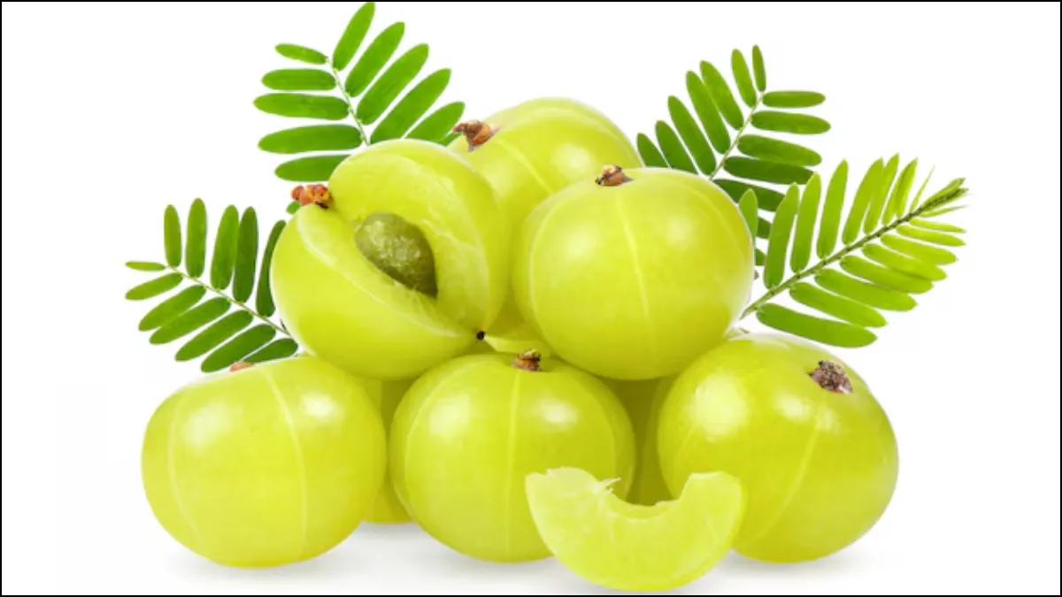 How To Consume Amla- India TV Hindi