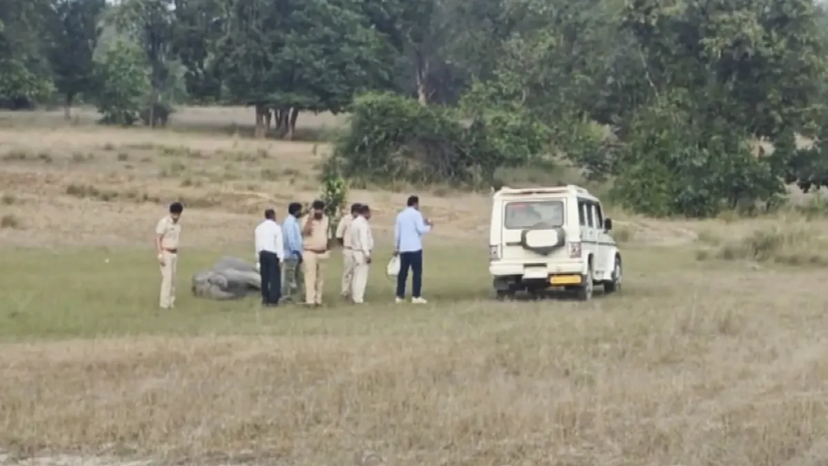 bandjavgarha tiger reserve- India TV Hindi