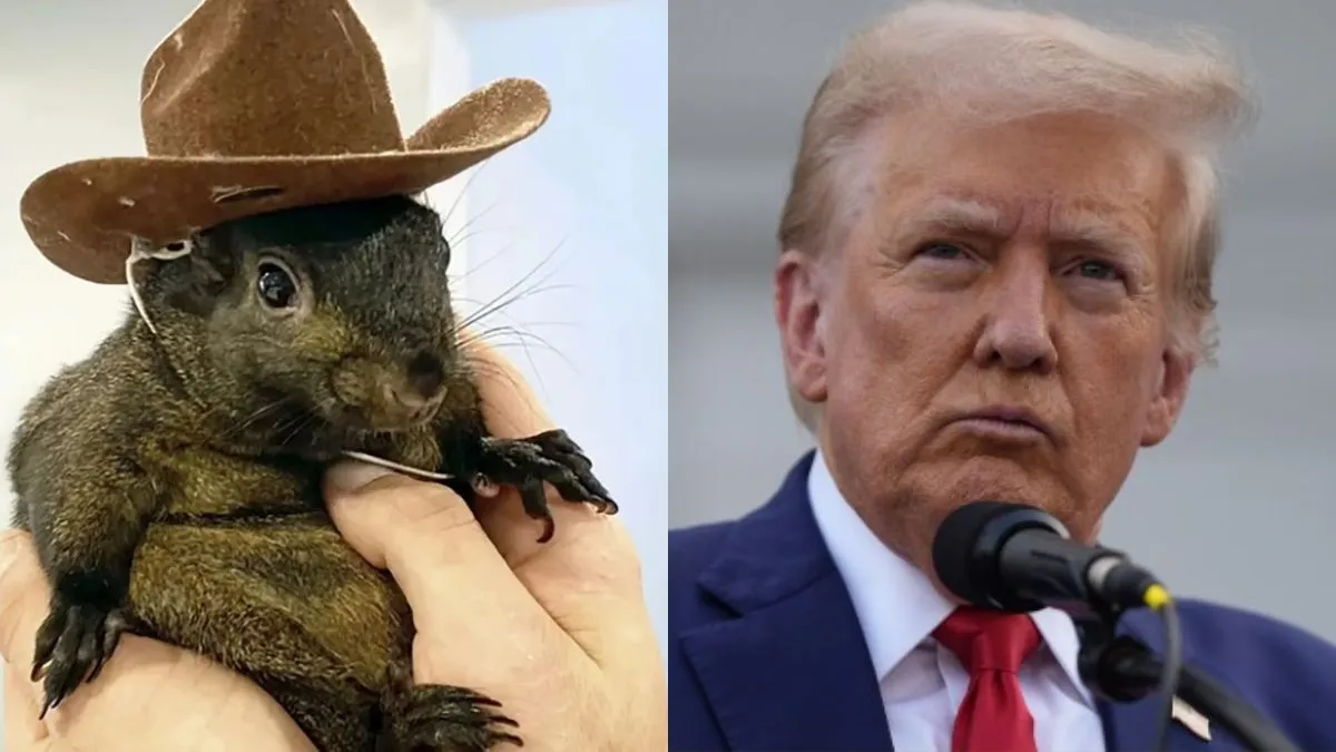 Peanut The Squirrel, Fred The Raccoon, Donald Trump- India TV Hindi