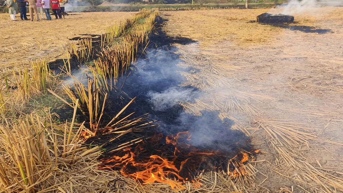 stubble burning- India TV Hindi