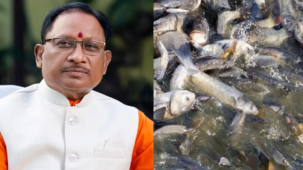 मछली पालन में क्रांतिकारी बदलाव