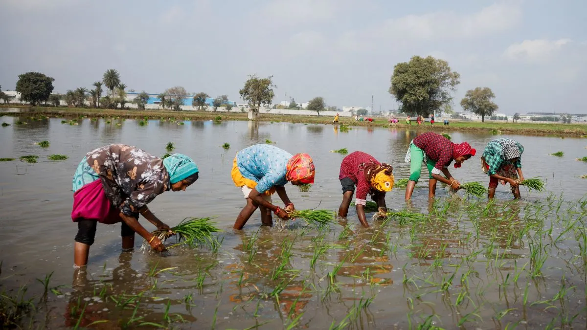 किसान क्रेडिट कार्ड