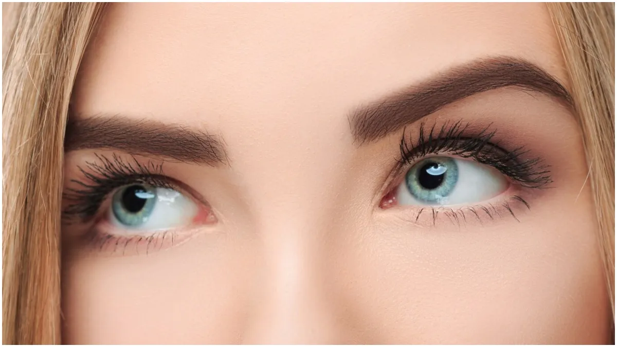 How to make eyebrows black and thick?