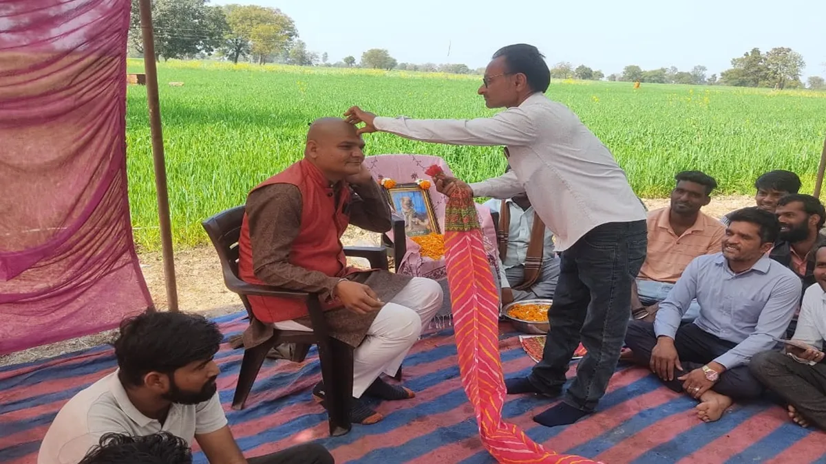 dog terahvi- India TV Hindi