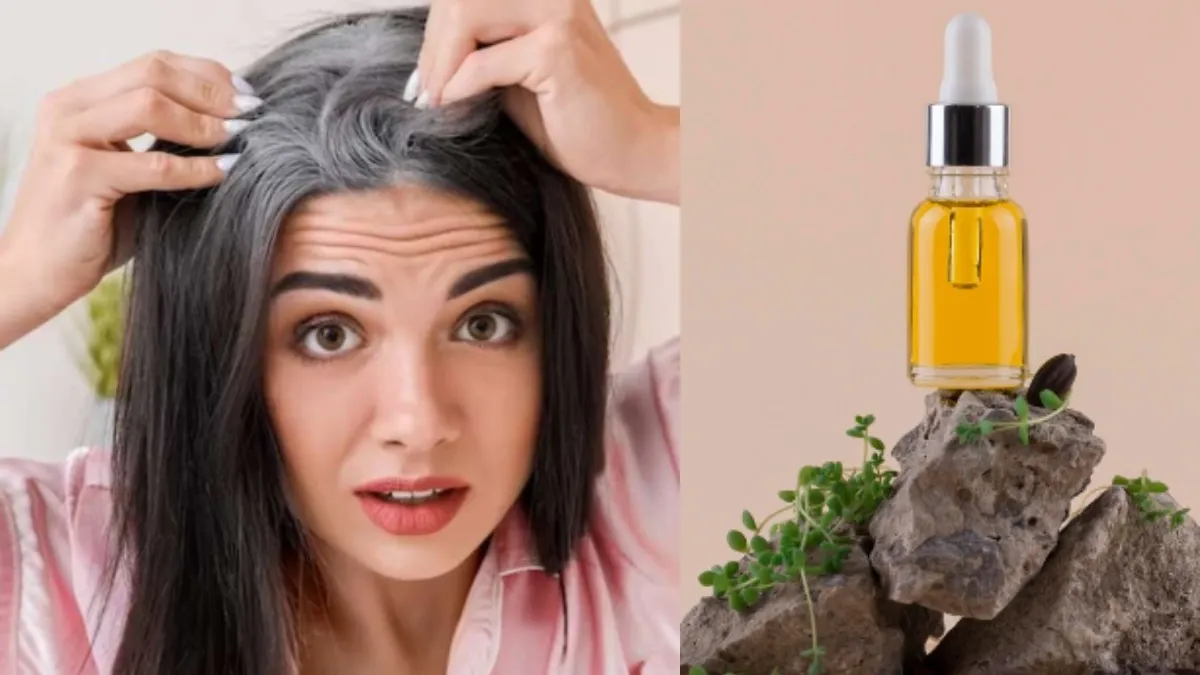 gray hair oil