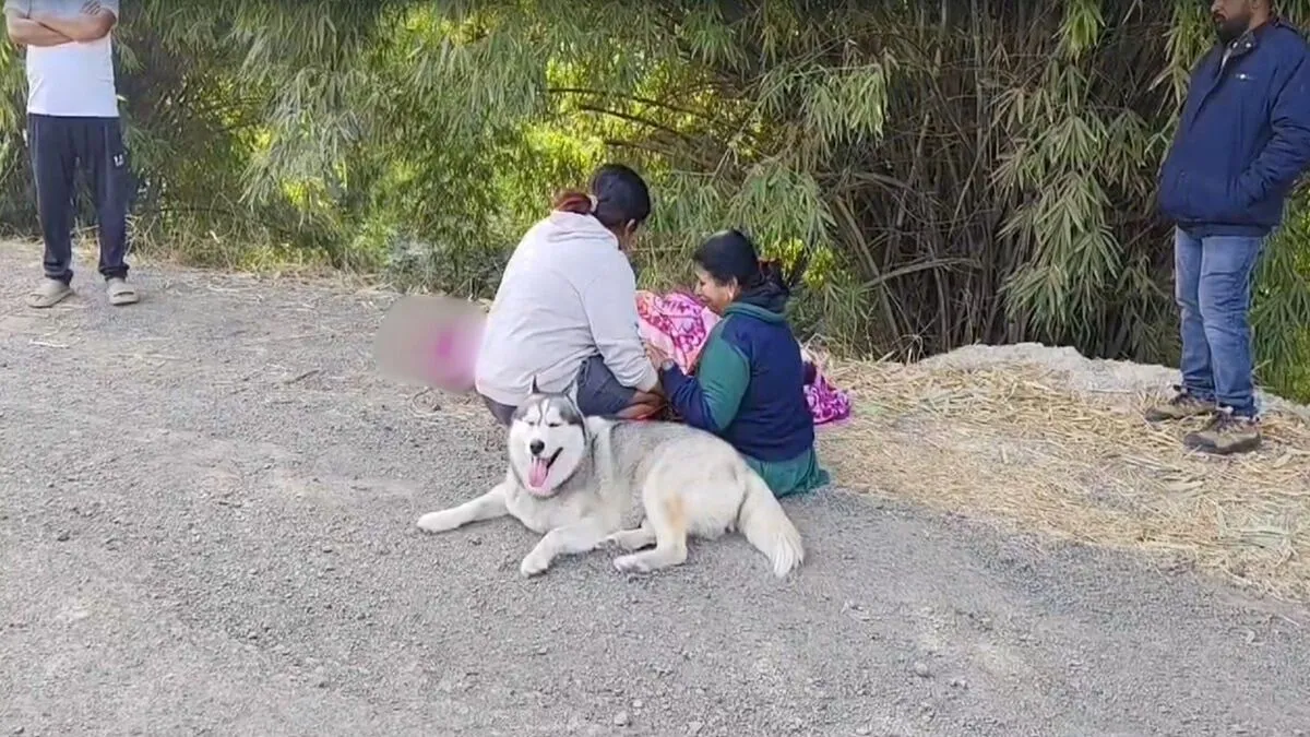 vadodara dog lover- India TV Hindi