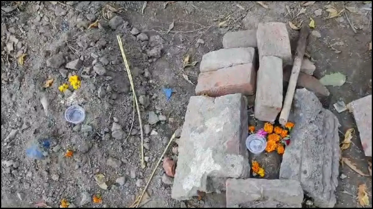 Dog murder- India TV Hindi