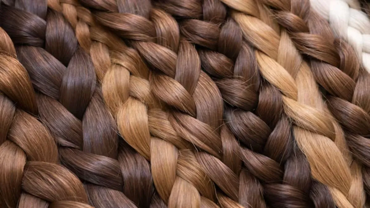 hair, human hair, raw human hair, raw human hair export, raw human hair import, raw human hair smugg