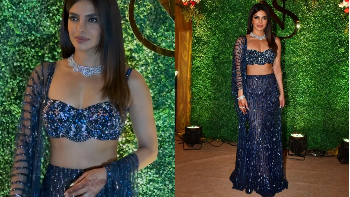 Priyanka Chopra's Tond Figure