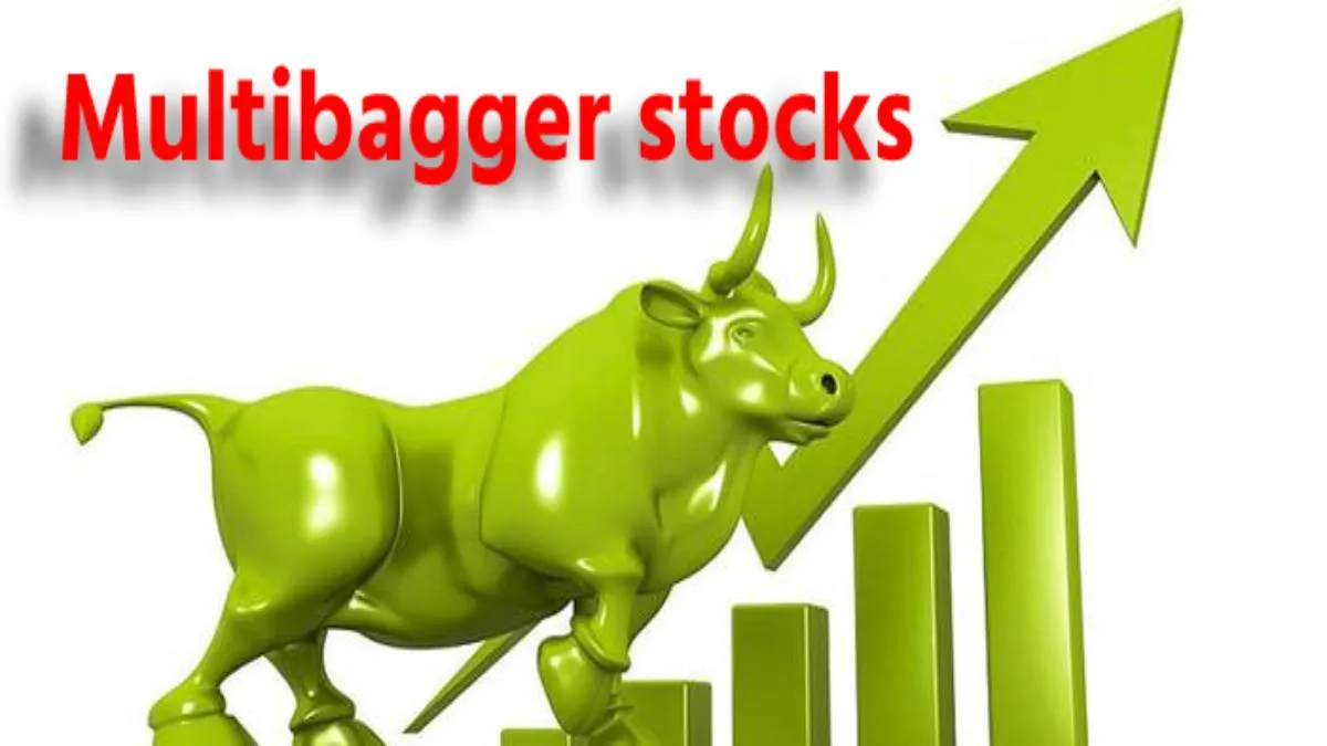 Multibagger Stocks - India TV Hindi