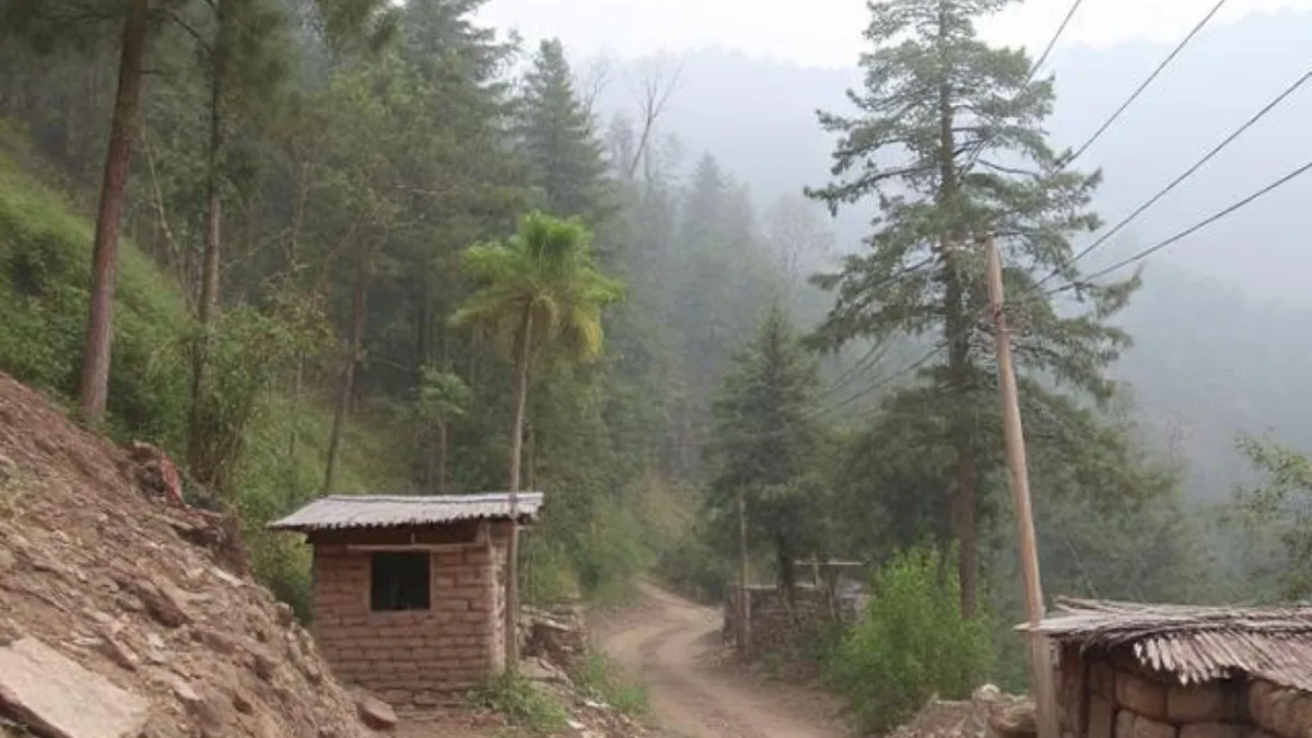 प्रतीकात्मक फोटो- India TV Hindi