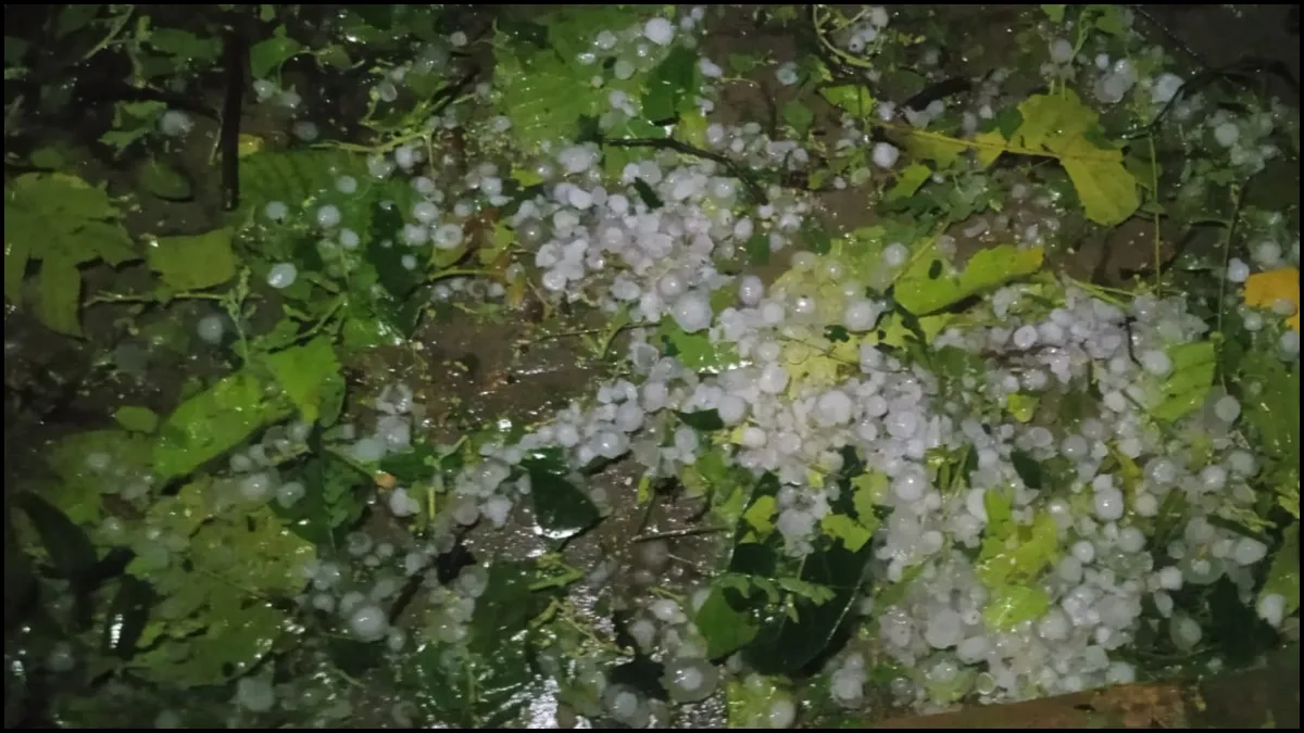 Hailstorm- India TV Hindi