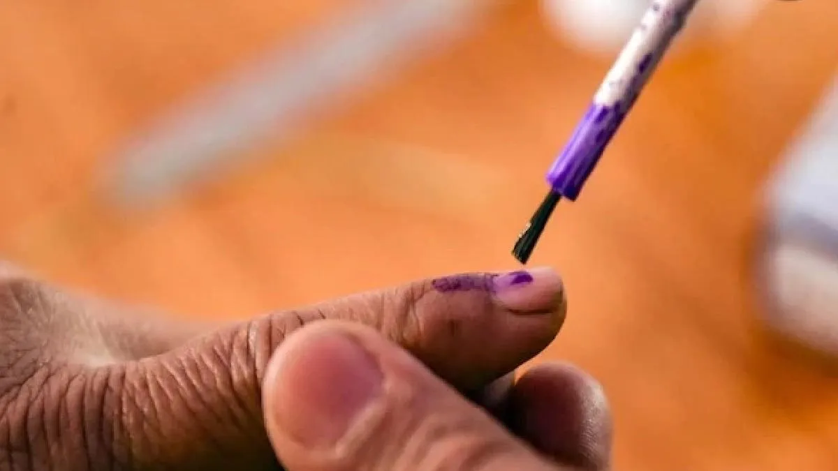 haryana civic body polls