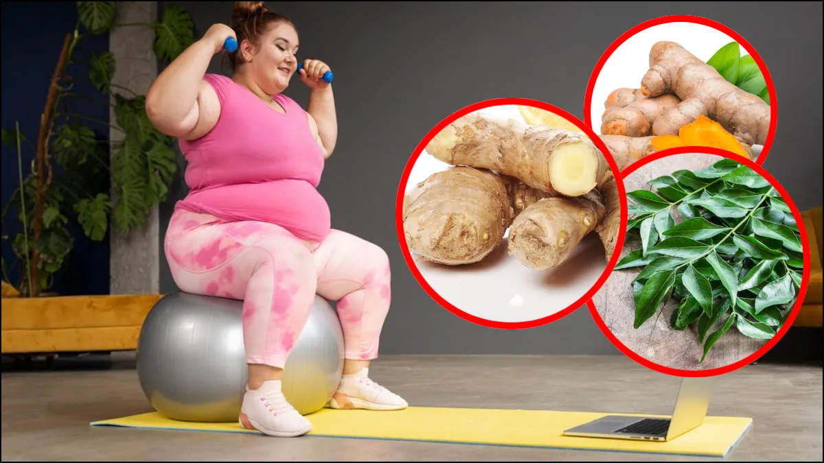 आयुर्वेदिक तरीके से वजन घटाने का तरीका- India TV Hindi