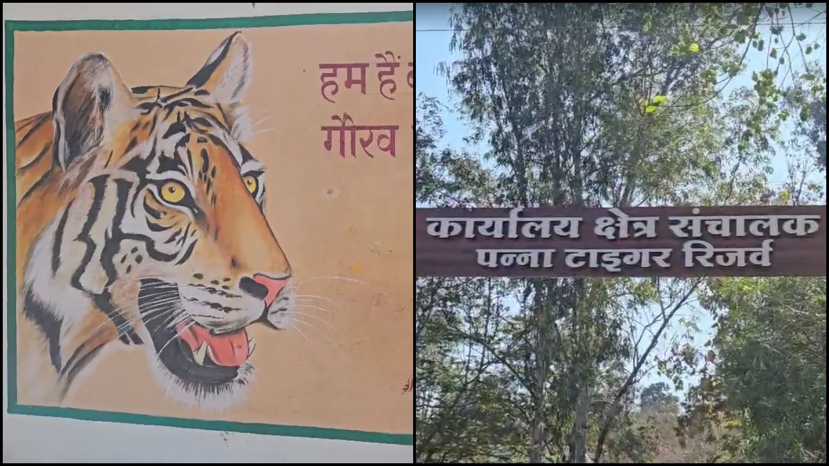 Panna Tiger reserve- India TV Hindi