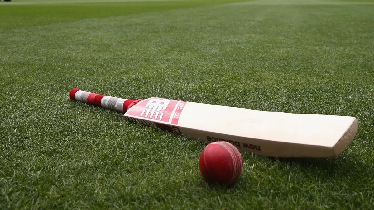 Cricket bat and ball