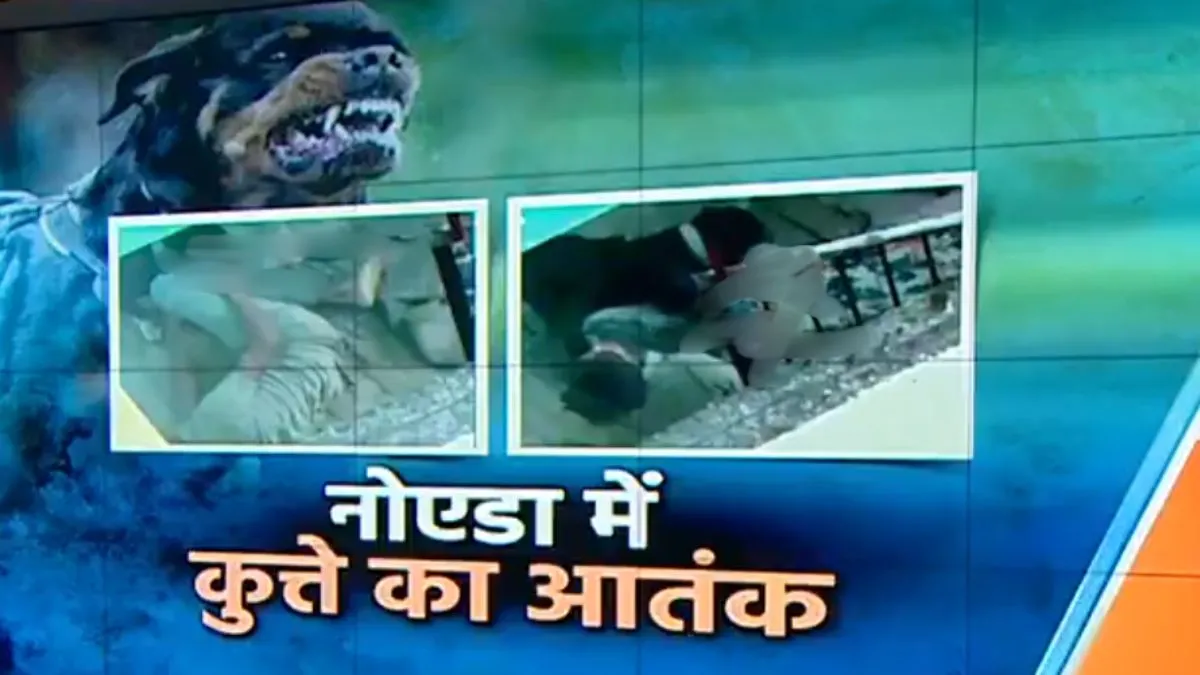 Pitbull, Pitbull Attack, Pitbull Attack Video, Pitbull Attack Noida
