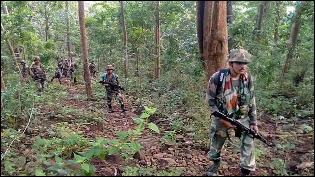 Imagem representativa