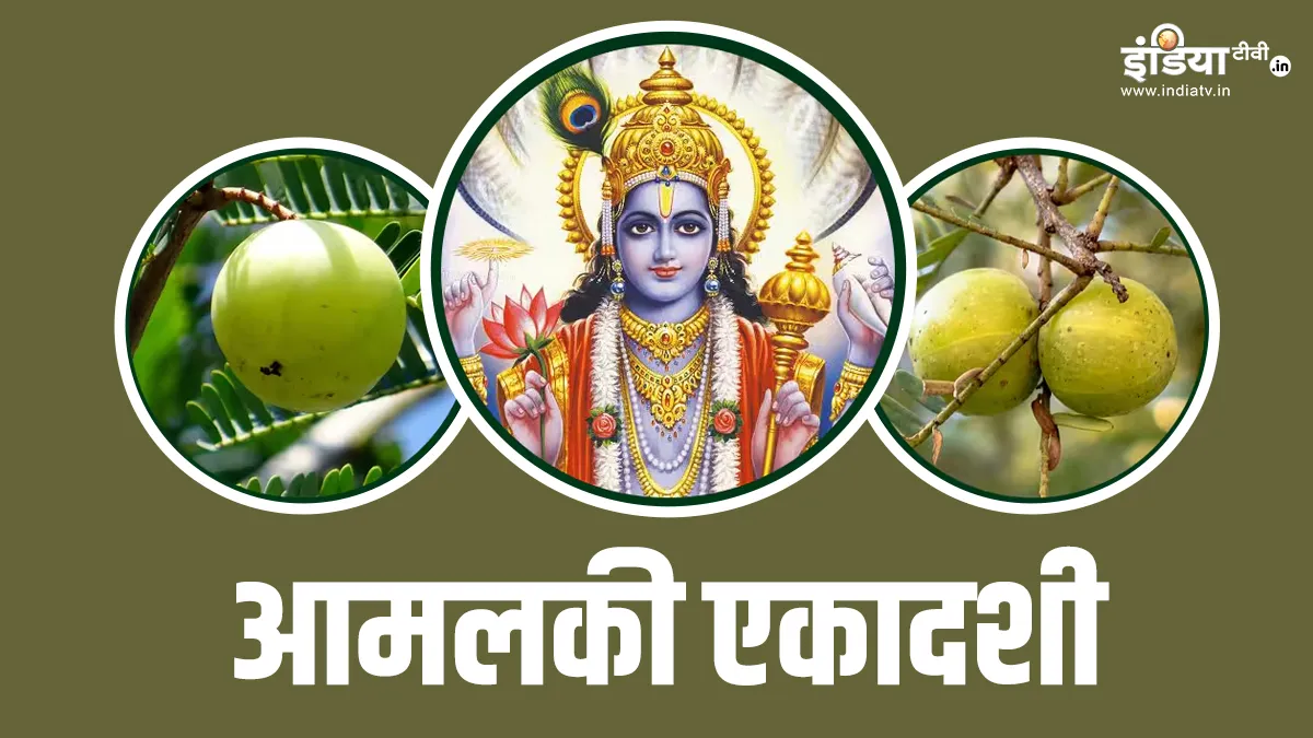 आमलकी एकादशी 2025- India TV Hindi