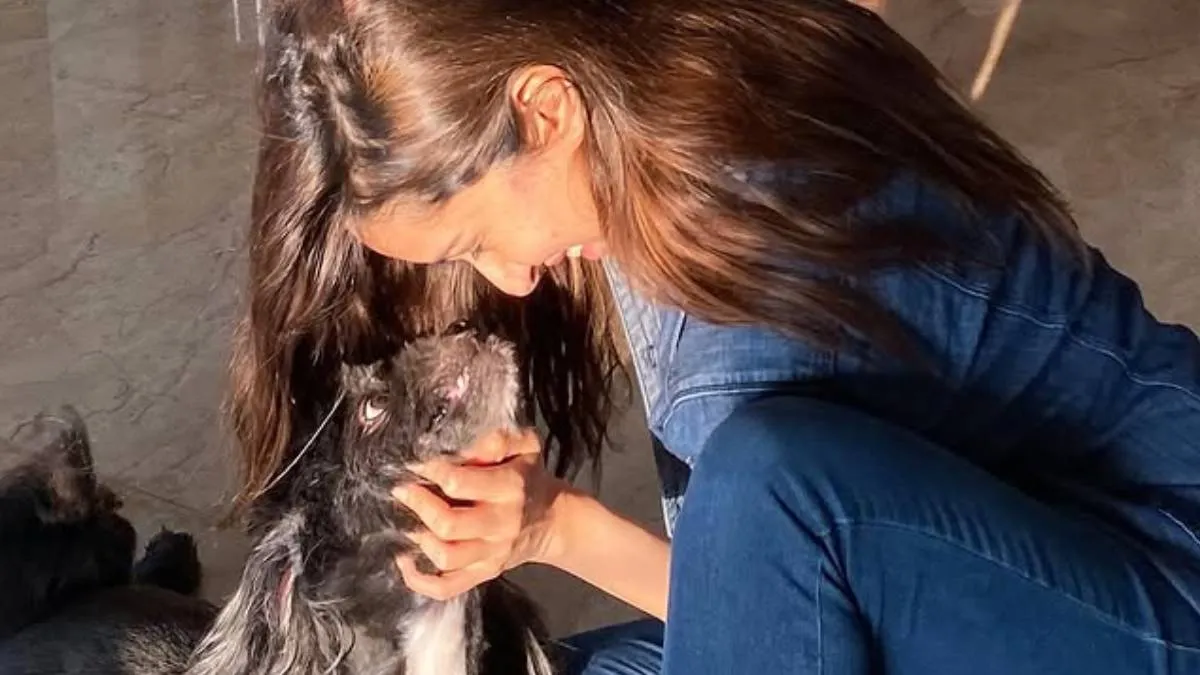 Shraddha Kapoor
