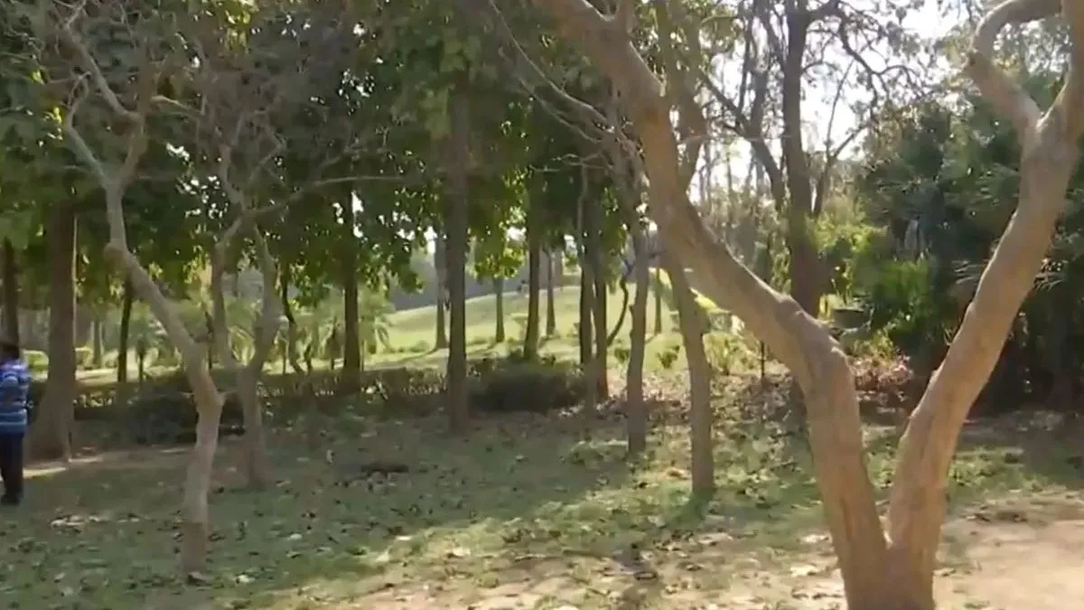 पेड़ से लटकता मिला किशोर और किशोरी का शव।- India TV Hindi