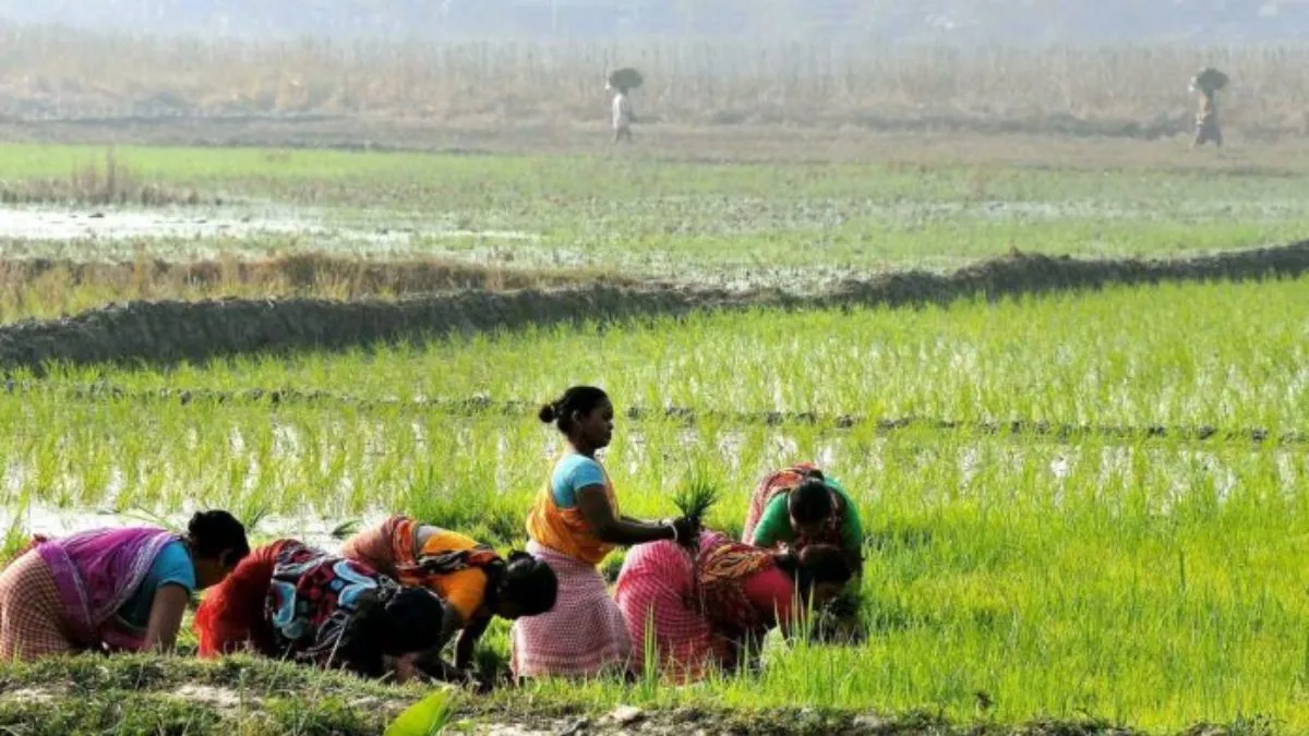 Women Farmers- India TV Hindi