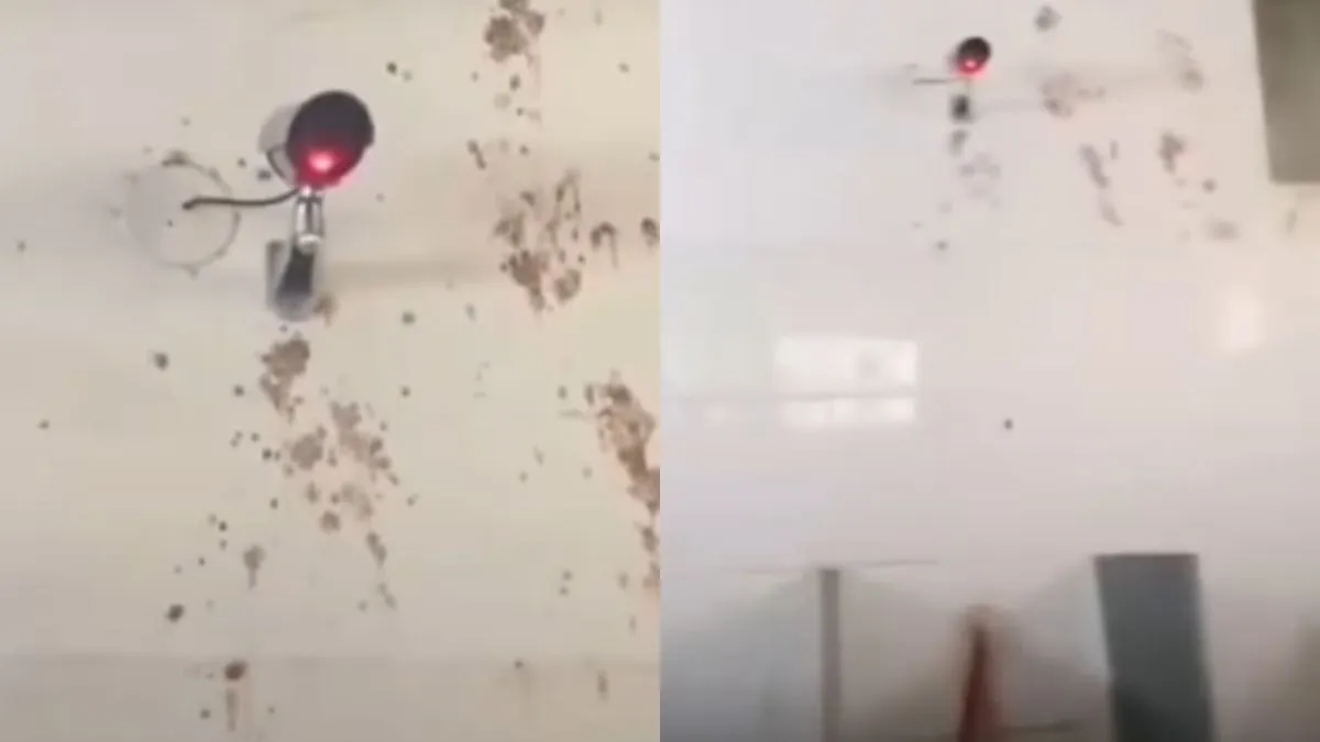 वायरल वीडियो का स्क्रीनशॉट- India TV Hindi