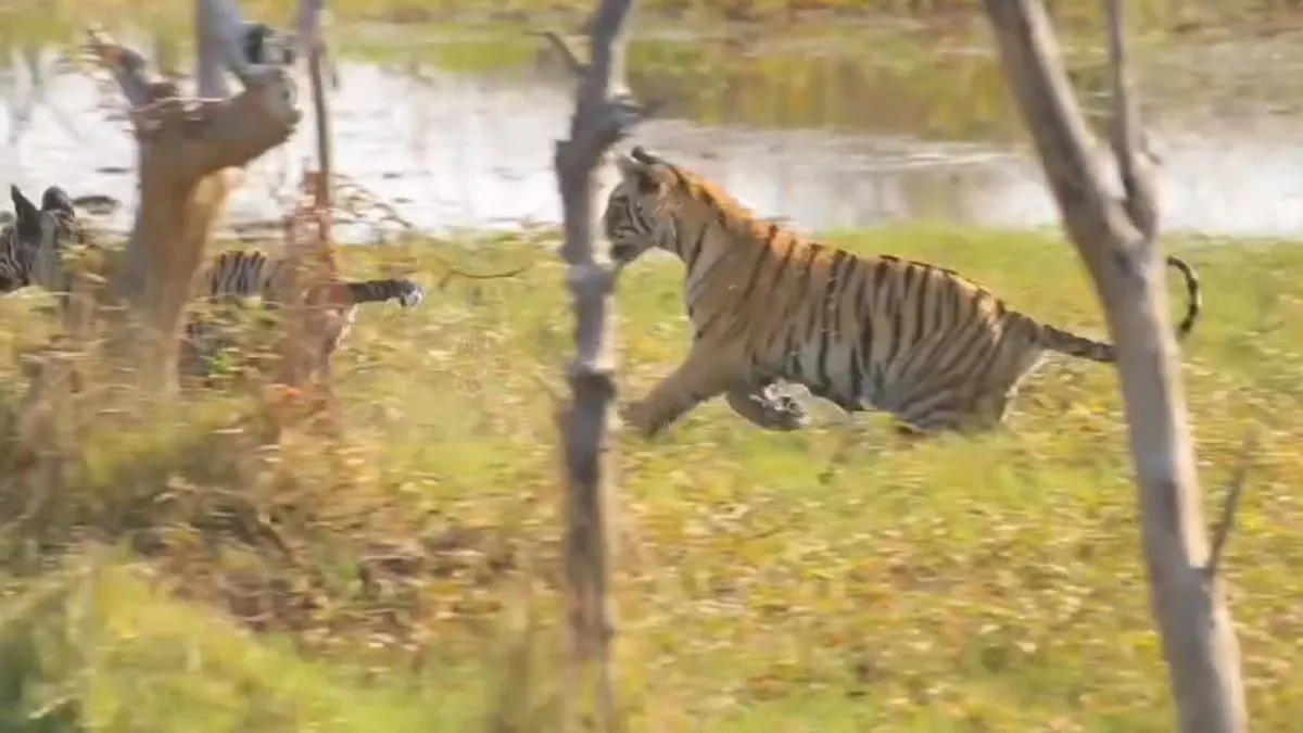 Screen Grab- India TV Hindi