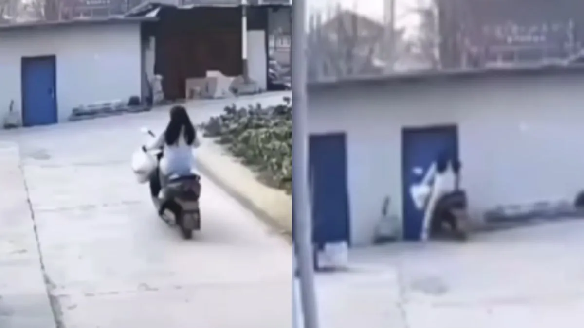 Captura de tela do vídeo viral