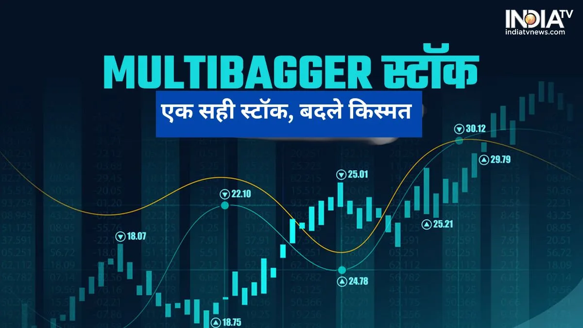 Multibagger Stock 