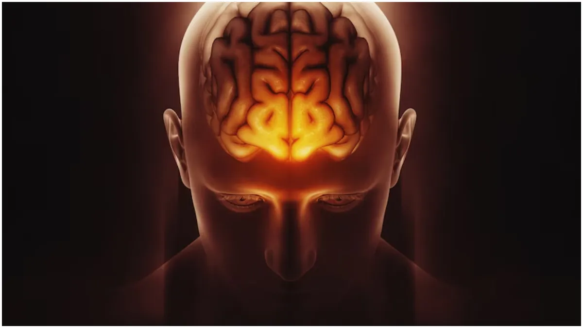 क्यों कमजोर हो जाती है याददाश्त?- India TV Hindi