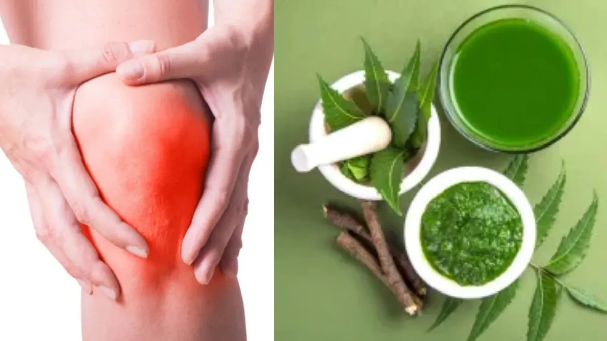 यूरिक एसिड पर काबू पाने के लिए फायदेमंद नीम के पत्ते