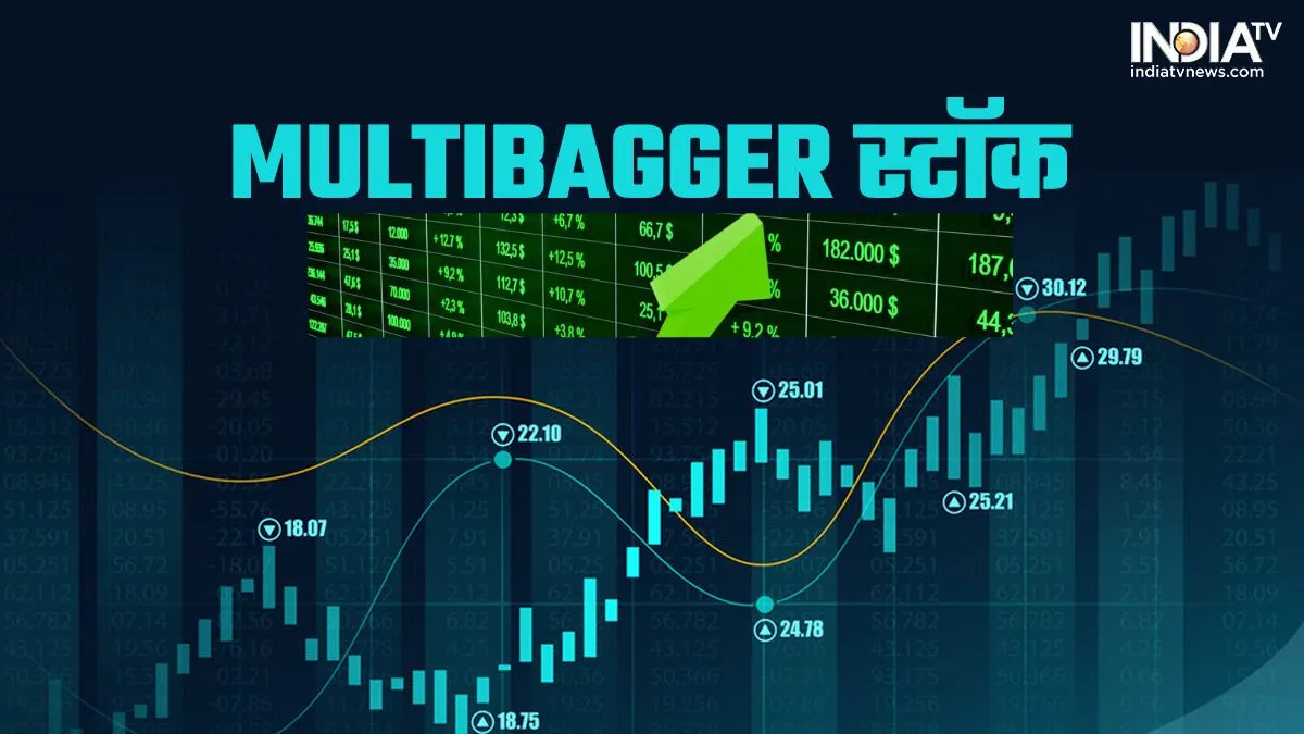 Multibagger Stock - India TV Hindi