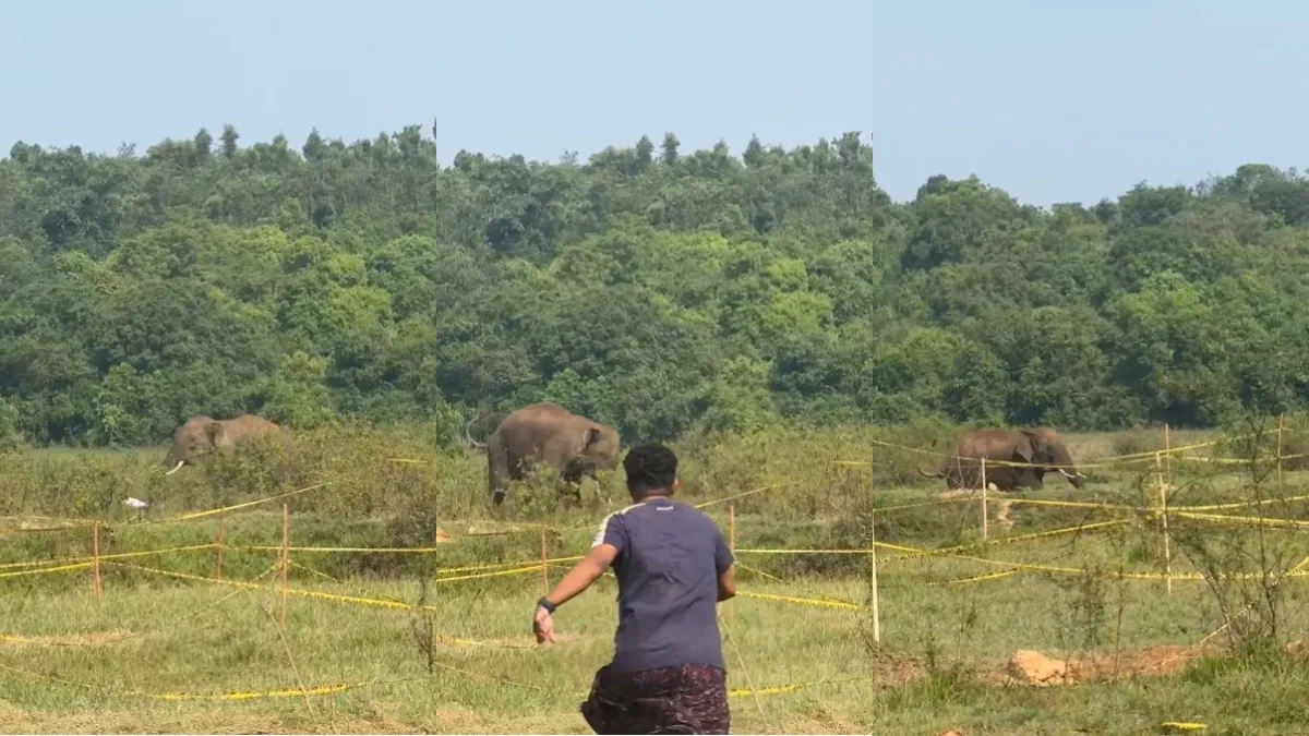 हाथी का हमला।- India TV Hindi