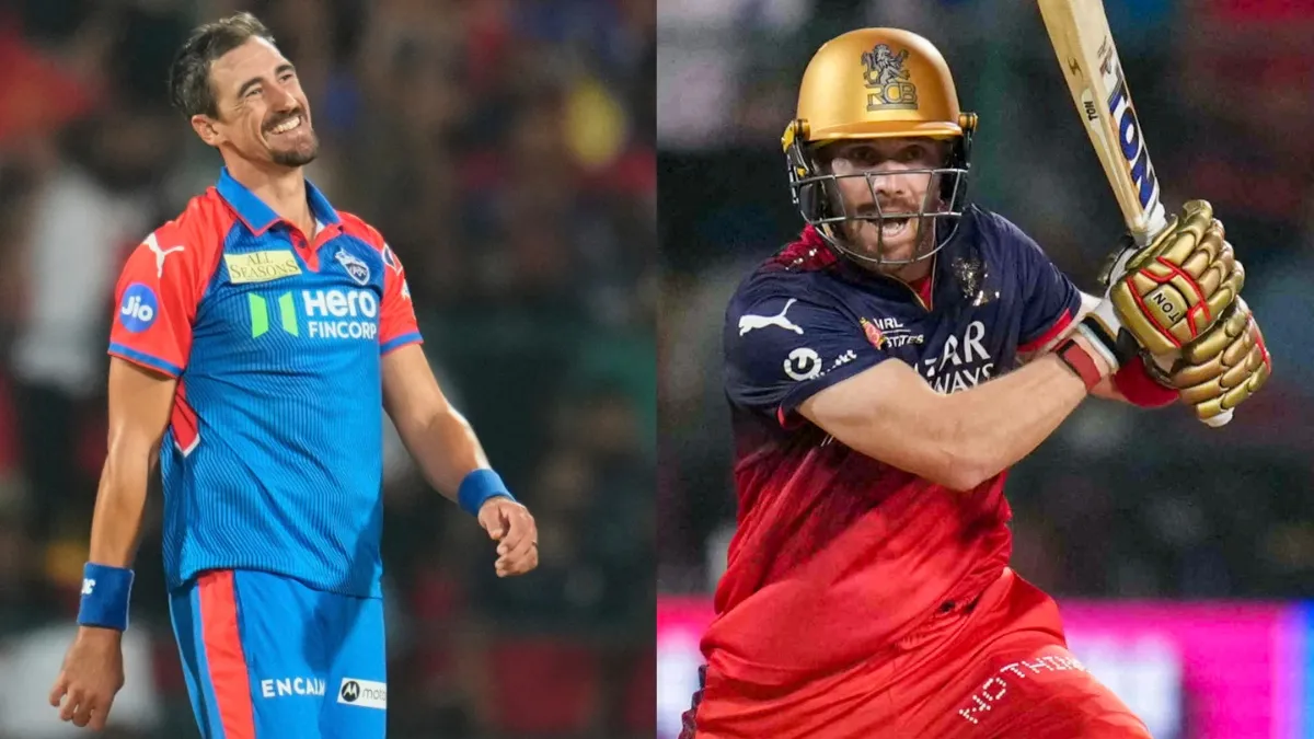 mitchell starc phil salt- India TV Hindi