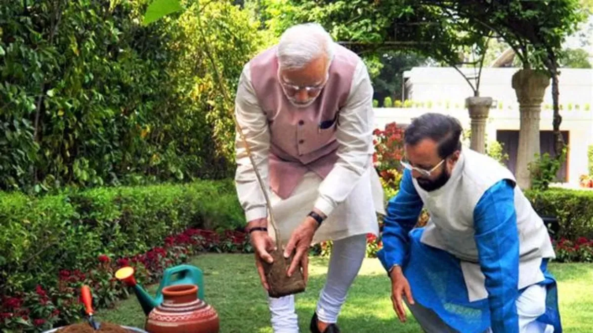 PM Modi unveiled 'Ek Ped Maa Ke Naam' initiative last year (Representative Image)- India TV Hindi