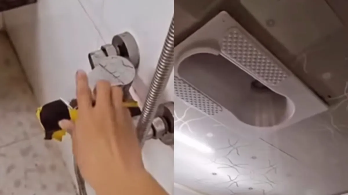 वायरल वीडियो का स्क्रीनशॉट- India TV Hindi